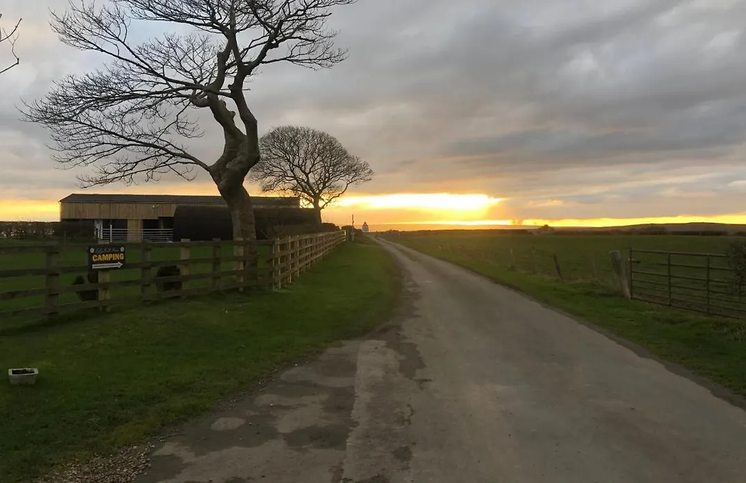 Folly Hall Farm-1